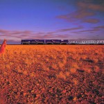 The Indian Pacific Train passing a kangeroo