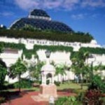 Rock to Reef - day 5 - 1 Rock to Reef - day 5 - 1