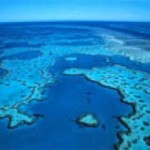 Rock to Reef - day 6 - 1 Rock to Reef - day 6 - 1