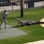 Rock to Reef - day 8 - 1 Rock to Reef - day 8 - 1