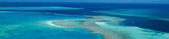 Rock to Reef - Header Rock to Reef - Header