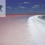 South Australia - South of Meningie South of Meningie